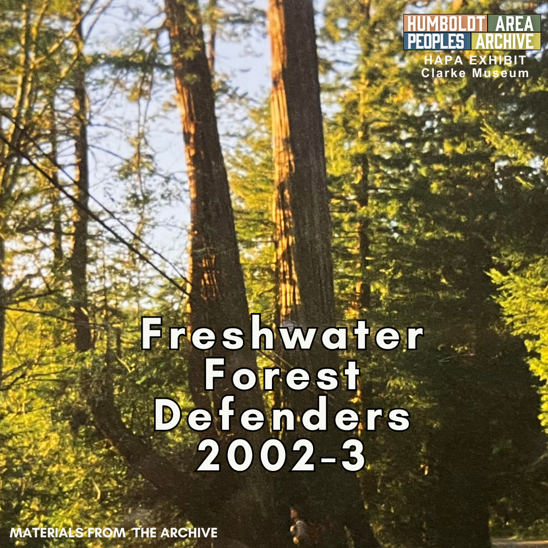 Read more about the article Freshwater Forest Defenders